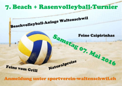 7. Beach + Rasenvolleyball-Turnier - Waltenschwil