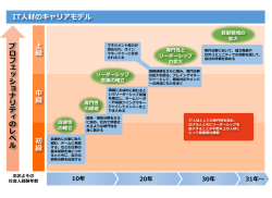 プロフェッショナリティのレベル 上級 中級 初級 IT人材のキャリアモデル
