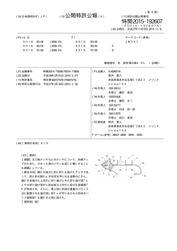 公開特許公報 特開2015