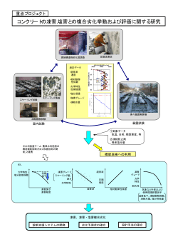 コンクリートの凍害,塩害との複合劣化挙動および評価に関する研究