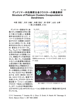 デンドリマー内包精密白金クラスターの構造解析 Structure of