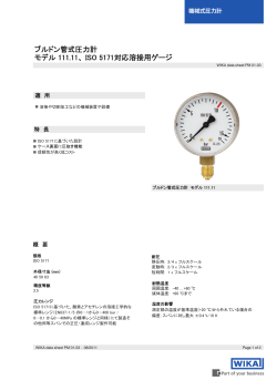 ブルドン管式圧力計 モデル 111.11、 ISO 5171対応溶接用ゲージ