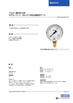 ブルドン管式圧力計 モデル 111.11、 ISO 5171対応溶接用ゲージ