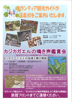 のんびりぶら~っと散策もいいけれど、 ガ イ ドさんが