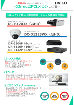DirectIPシステム