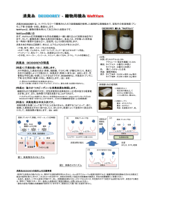 deodorey_weftyarn_japanese_pdf - Copy