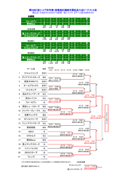 柏シニア杯争奪 - 東葛地区少年野球大会