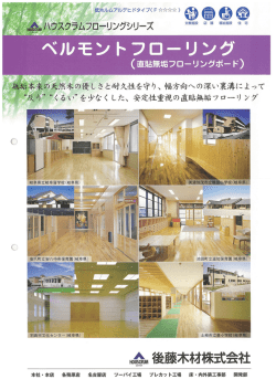 "` いスクラブ西リングシリーズ
