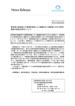 PDF形式：264KB - 電力取引監視等委員会