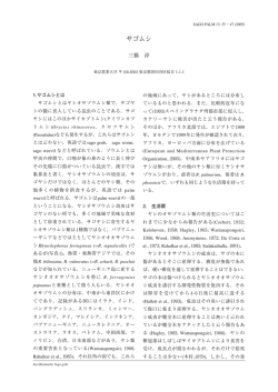 三橋淳
