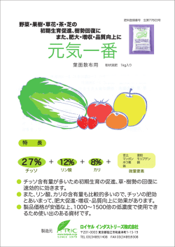 資料をダウンロードする