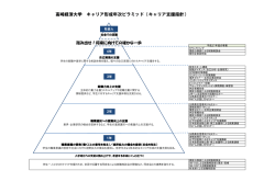高崎経済大学 キャリア形成年次ピラミッド（キャリア支援指針）______