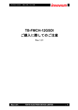 TB-FMCH-12GSDI