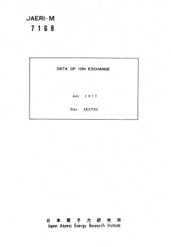 JAERI-M-7168:1.37MB