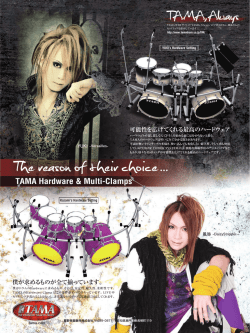 DOWNLOAD (PDF/810KB)