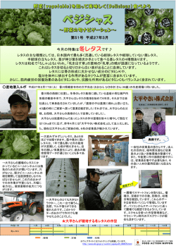 （発行日：2015年3月9日）【冬レタス】 - alic｜独立行政法人 農畜産業