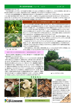 2015/09/01更新『夢の島熱帯植物館 ニュース vol.31』