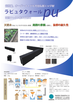 ラピュタウォール