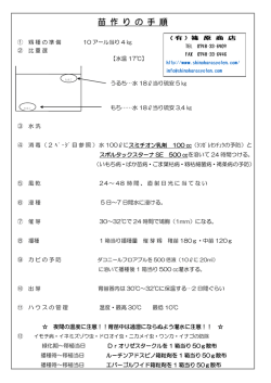 苗作り