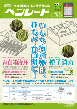 苗いもちを防除