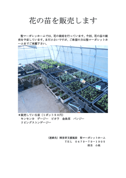 花の苗を販売します