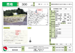 南相馬市原町区中太田字天狗田100番36
