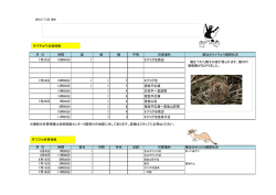 ライチョウ目撃情報 オコジョ目撃情報