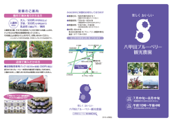 八甲田ブルーベリー観光農園 パンフレット