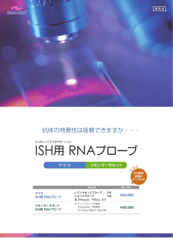 ISH用 RNAプローブ - 日本ジェネティクス株式会社