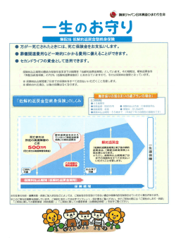 一生のお守り