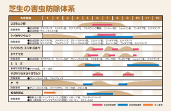 芝生の害虫防除体系