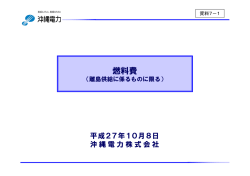 （離島供給に係るものに限る）（沖縄電力）（PDF形式：466KB）
