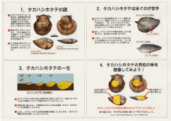 ー タカハシホタテとは、 中