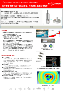 流体機械・配管における圧力変動、弁体運動、振動騒音