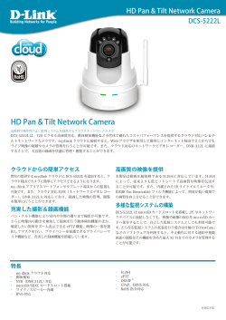 HD Pan & Tilt Network Camera - D