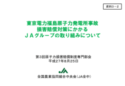 東京電力福島原子力発電所事故損害賠償対策にかかる