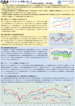 ブラジルレポート6月号
