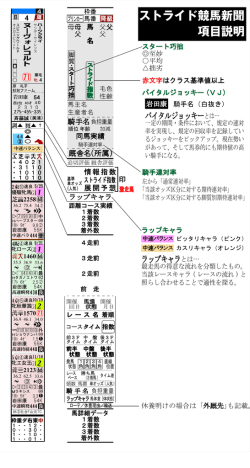 ストライド競馬新聞 項目説明