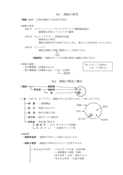 一般生物