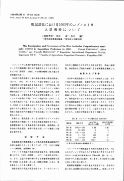 鹿児島県における1993年のコブノメイガ大量飛来について