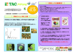 果樹カメムシ類に注意