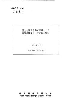 JAERI-M-7961:1.12MB