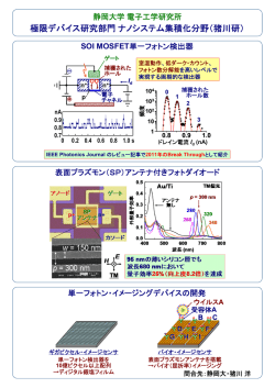 極限デバイス研究部門ナノシステム集積化分野（猪川研）