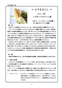 ＝ とうもろこし ＝