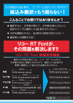 フライヤー（PDF）