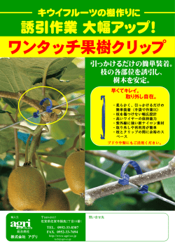 ワンタッチ果樹クリップ