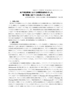 地下高温環境における導電性鉱物を介した 電子移動に基づく共生的
