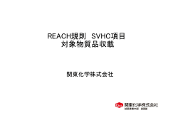 REACH規則 SVHC項目 対象物質品収載