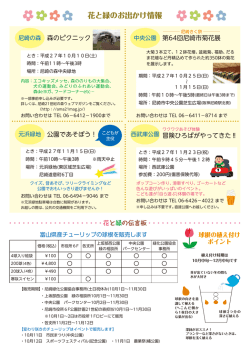 中央公園 尼崎市菊花展