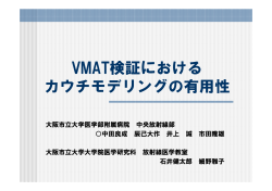 VMAT検証における カウチモデリングの有用性